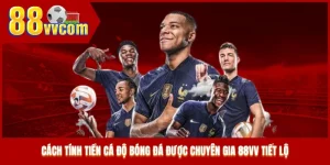 Cách Tính Tiền Cá Độ Bóng Đá Được Chuyên Gia 88VV Tiết Lộ