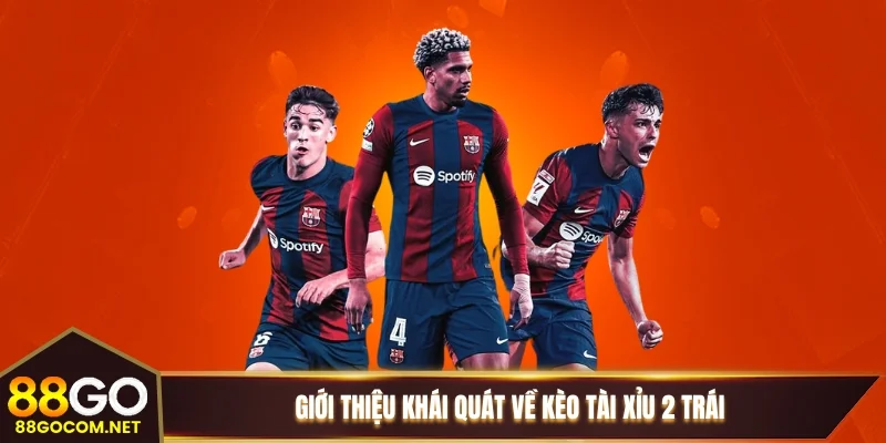 Giới thiệu khái quát về kèo tài xỉu 2 trái Giới thiệu khái quát về kèo tài xỉu 2 trái