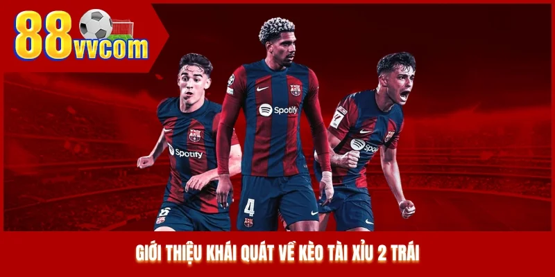 Giới thiệu khái quát về kèo tài xỉu 2 trái Giới thiệu khái quát về kèo tài xỉu 2 trái